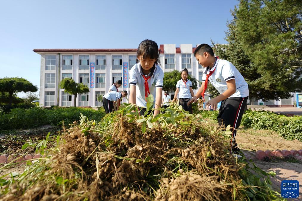 吉祥纺网址